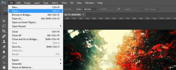 Файл Photoshop открыт