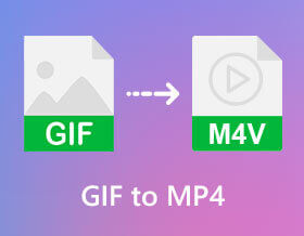 GIF naar MP4