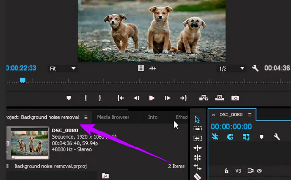 Premiere Pro supprimer le bruit de fond