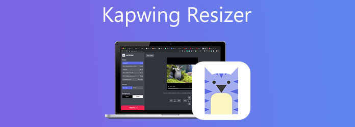 Kapwing-Resizer