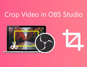 OBS Crop Video