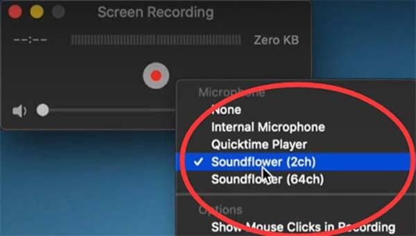 Опция QuickTime Sound Flower Audio