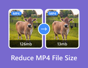 Reduzieren Sie die MP4-Dateigröße