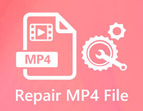 Repaire MP4 File