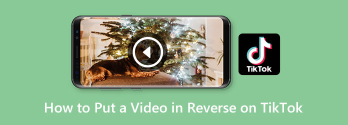 Reverse Video With TikTok