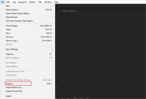Importera video till Premiere Pro