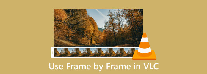 Use Frame by Frame in VLC