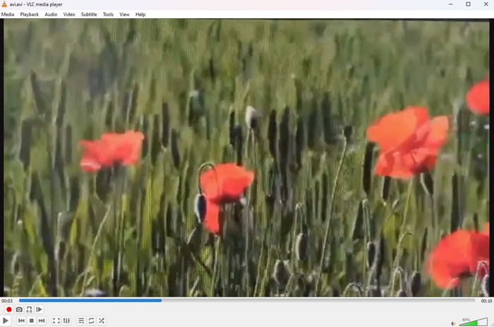 具有速度控制功能的 VLC 播放器