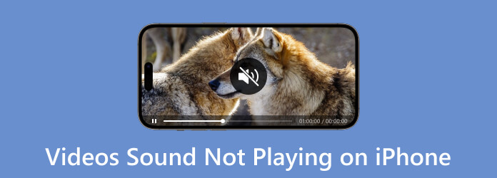 Videos Sound Not Playing on iPhone