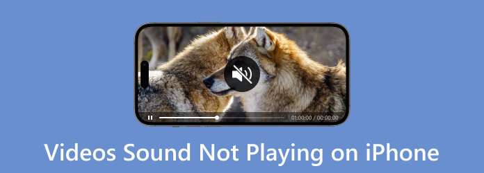 L'audio dei video non viene riprodotto su iPhone