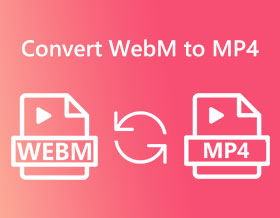 WebM à MP4