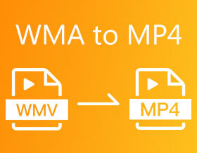 WMA til MP4