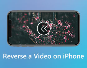 How to Reverse a Video on iPhone Losslessly [Solved]