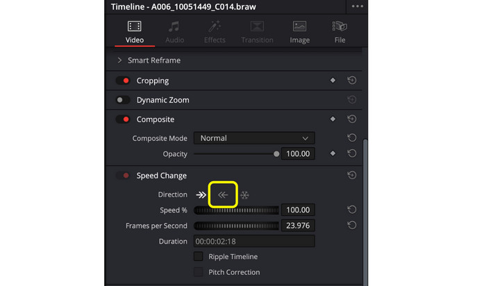 Reverse Video Inspector Tool.