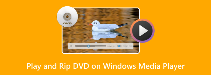Reproduza e copie DVDs com o Windows Media Player
