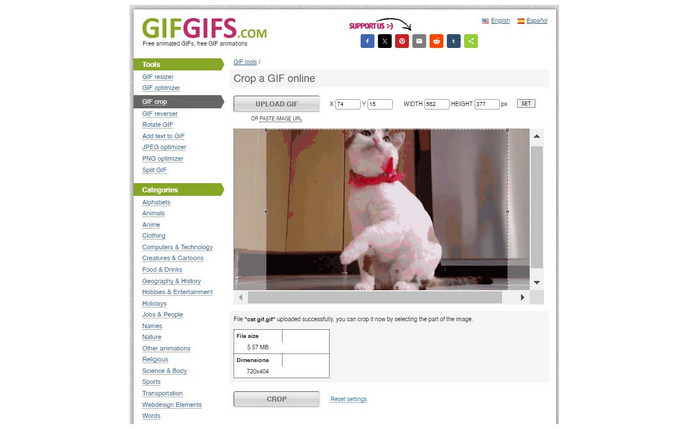 Interface Gifgifs