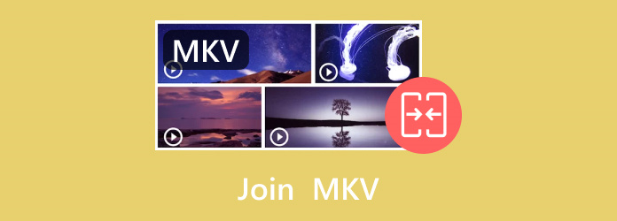 Treten Sie Mkv bei