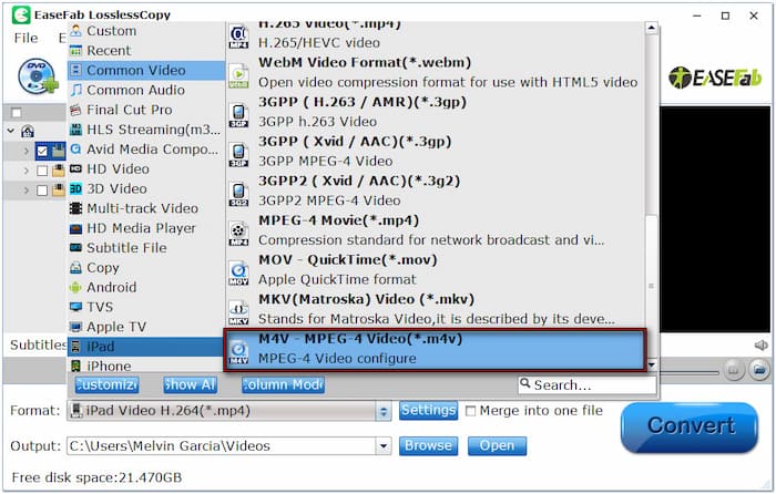 Wählen Sie das M4v-Format