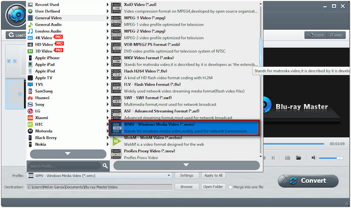 Seleziona il formato Wmv